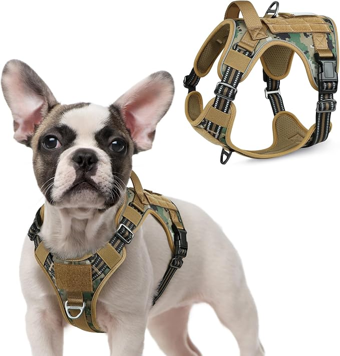rabbitgoo Tactical Dog Harness for Small, No Pull Military Service Vest | Molle & Handle, Heavy Duty, Adjustable, Reflective Straps, Easy Control for Training Walking, Brown camo, Small by rabbitgoo