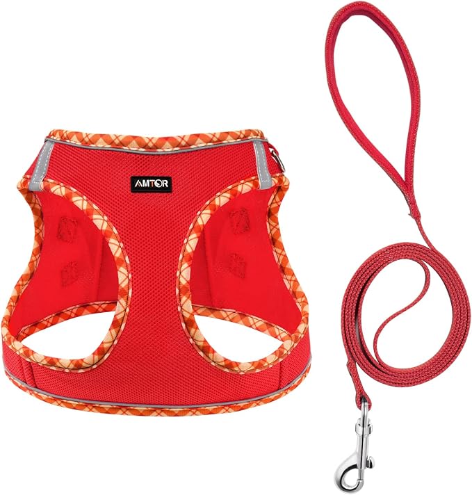 AMTOR Small Dog Harness with Leash Set, No Escape Easy Walk Puppy Harnesses for Training Walking, Step-in Reflective Soft Dogs Vest for XS S Medium Extra-Small Large Sized Dog(Red,XS) - Image 2