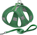 AIITLE Small Dog Harness and Leash Set, Step-in Puppy Pet Vest, Green XS | Light, Soft, Breathable Air Mesh, Escape-Proof, Easy on and Remove with Hook & Loop, Secure Reflective for Walking by AIITLE-FORPETSBETTERLIFE