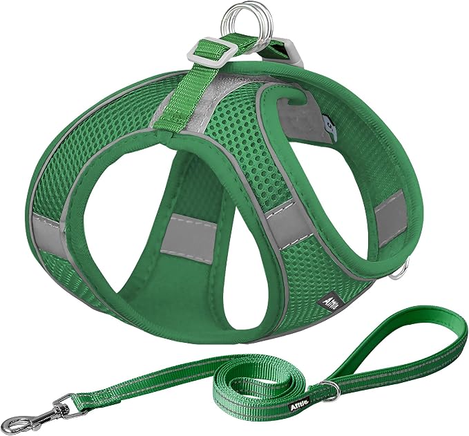 AIITLE Small Dog Harness and Leash Set, Step-in Puppy Pet Vest, Green XS | Light, Soft, Breathable Air Mesh, Escape-Proof, Easy on and Remove with Hook & Loop, Secure Reflective for Walking by AIITLE-FORPETSBETTERLIFE