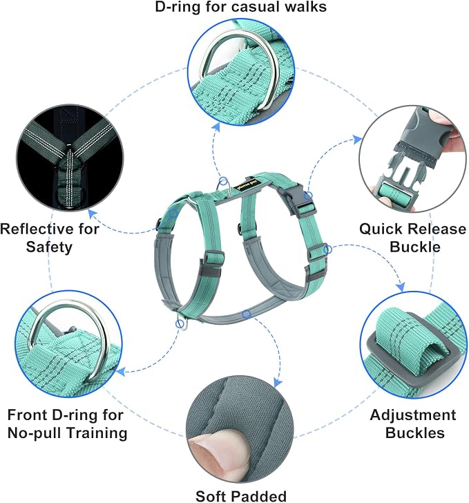 Plutus Pet No Pull Dog Harness, Adjustable Nylon Harness with Soft Padding | Reflective with Front Clip, Heavy Duty for Training and Walking, for Small Medium Large Dogs, Teal, M - Image 2