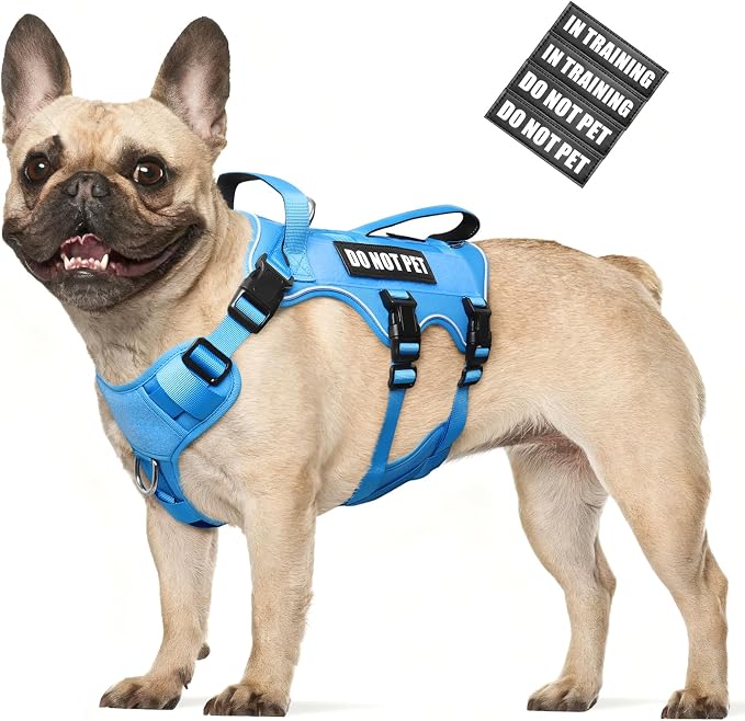 WINSEE Escape Proof Dog Harness with Double Handle+4 Removable Patches | Service Working Molle Harness with Double Handle for Medium Dogs, Tactical Pet Reflective Vest for Walking Hiking Hunting by WINSEE