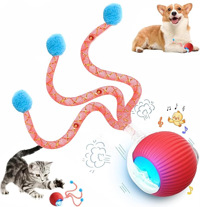 Speed 2.0 Tail Interactive Cat Toys for Indoor Cats, Moving Cat Toy | Chirping & Motion Activate Cat Toy, Smart Kitten Toys Rolling Ball Moving Ball, Electric Dog Cat Ball for Enrichment Exercise by Unknown