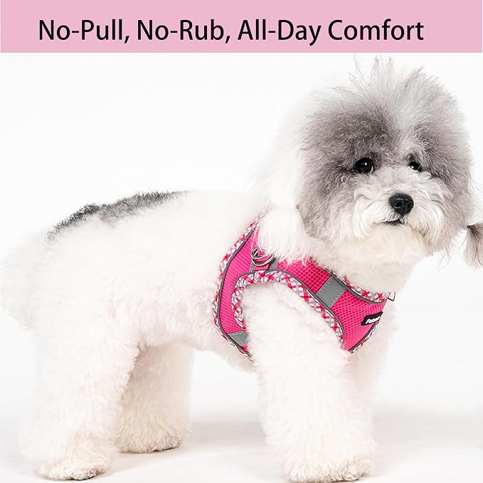 Petank Dog Harness for Small Medium Dogs No Pull, Puppy Harness and Leash Set for Walking, Running, Training, Small Dog Harness, Medium Dog Harness (Rose Red, L) - Image 2