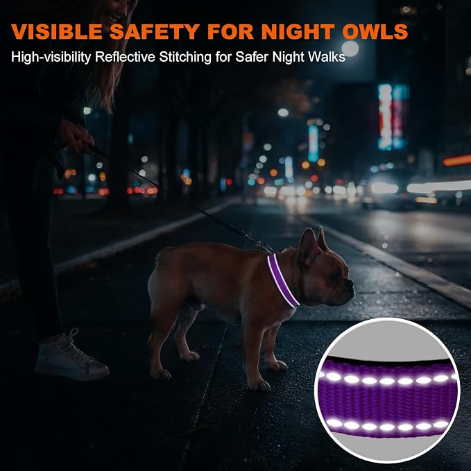 Taglory Reflective Dog Collar for Medium Dogs, Soft and Safe for Daily Walk | Soft Neck Cushioning, Adjustable 14-20 in, Sturdy Webbing Withstands Strong Pullers, Zinc Alloy D-Ring for Leash and ID Tags - Image 5