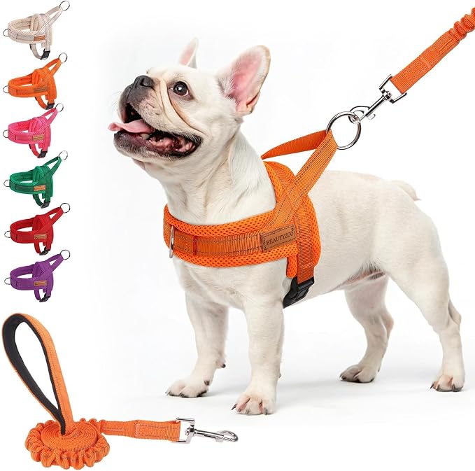 BEAUTYZOO Dog Harness Medium Sized and Leash Set, No Pull Step in Pet Vest | Breathable Mesh with Handle, Reflective, Adjustable No Choke Escape Proof, Lightweight, Easy Control for Walking, Orange M by BEAUTYZOO