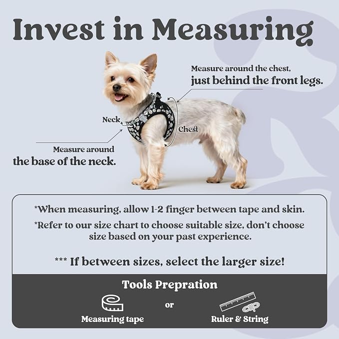 rabbitgoo Step-in Small Dog Harness, Puppy Vest for Small Sized Pet | Easy Put on and off, Lightweight, Soft, Breathable Quick-Dry Air Mesh for Comfortable Secure Walking, Midnight Daisy XXS - Image 2