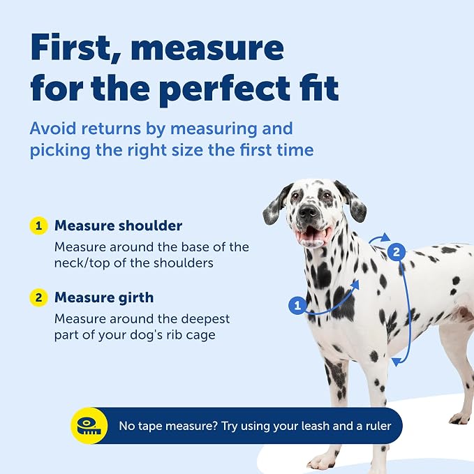 PetSafe 3 in 1 No-Pull Dog Harness - Walk, Train or Travel - Helps Prevent Pets from Pulling on Walks - Seatbelt Loop Doubles as Quick Access Handle - Reflective Accents - Large, Teal | Rests on Chest Not Throat to Reduce Pulling, 5 Adjustment Points, ... - Image 6