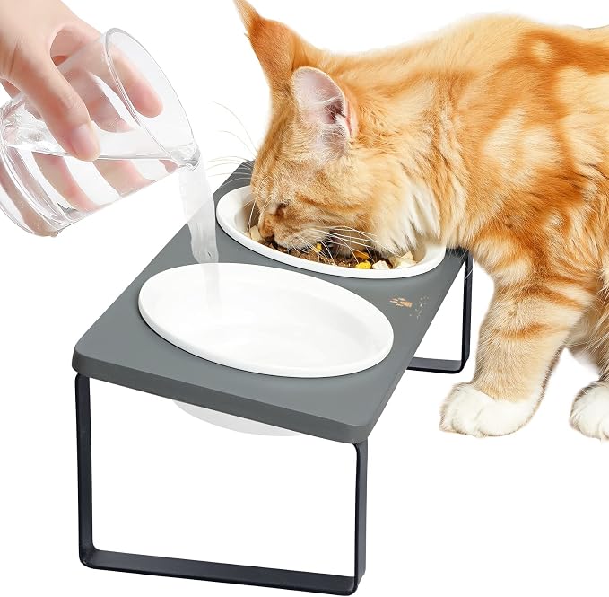 Sunhoo Ceramic Elevated Cat Bowls Raised Puppy Dishes for Food and Water Tilted Wooden Stand for Indoor Cats 5.5 inch Wide Double Dish Orthopedic Reduces Vomiting (Grey) by Sunhoo