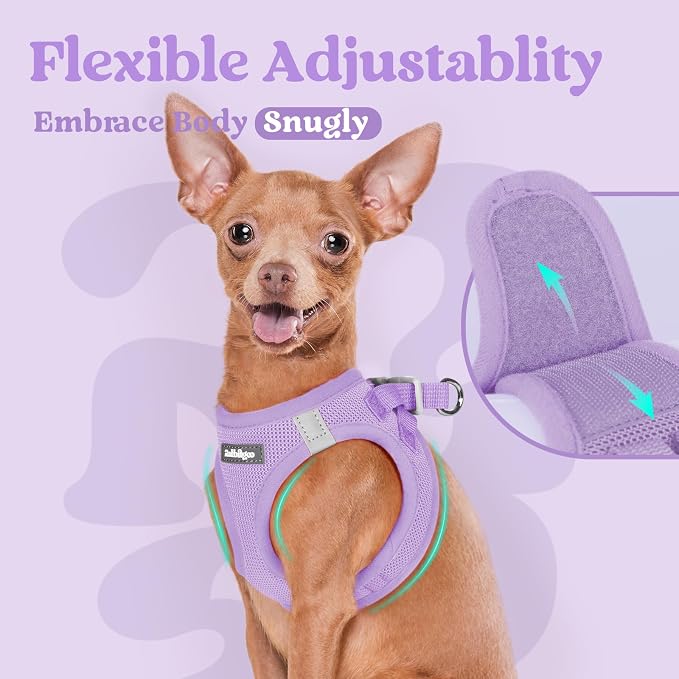 rabbitgoo Step-in Small Dog Harness, Puppy Vest for Medium Sized Pet | Easy Put on and off, Lightweight, Soft, Breathable Quick-Dry Air Mesh for Comfortable Secure Walking, Light Purple XXL - Image 8