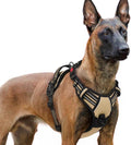 rabbitgoo Dog Harness for Large, Updated Easy On & Off with 3 Buckles | No Pull No Choke, Walking with 2 Clips and Handle, Adjustable Soft Reflective, Beige, X-large by rabbitgoo