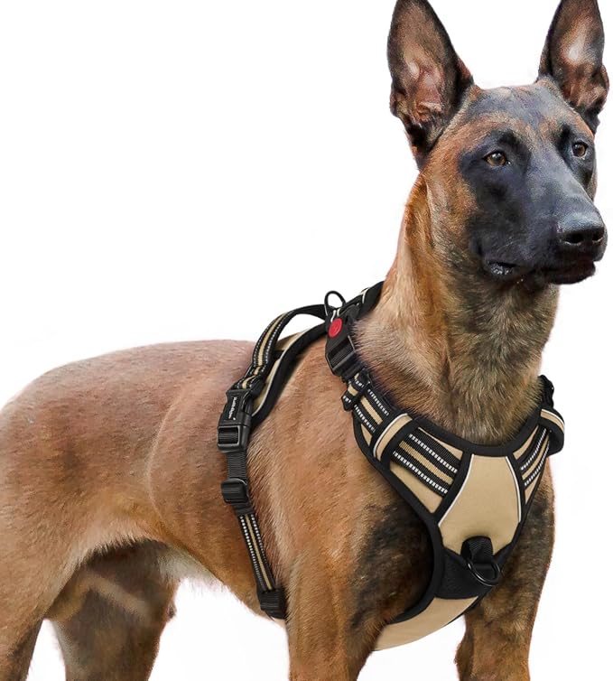 rabbitgoo Dog Harness for Large, Updated Easy On & Off with 3 Buckles | No Pull No Choke, Walking with 2 Clips and Handle, Adjustable Soft Reflective, Beige, X-large by rabbitgoo