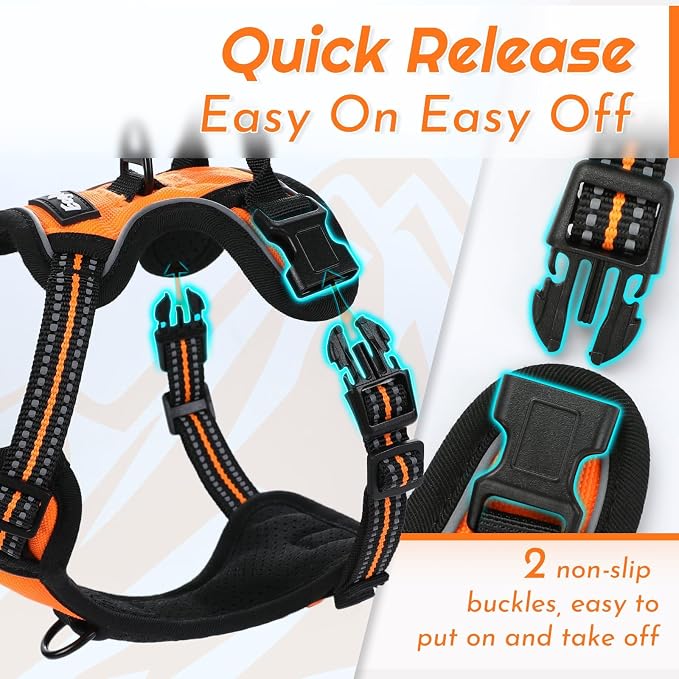 Eagloo Dog Harness for Small Dogs, No Pull Pet Vest with 2 Leash Clips | No Choke with Handle, Adjustable Comfort Fit, Reflective Strips, Easy Walking Control, Orange, X-Small - Image 6