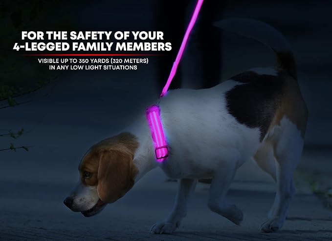 ILLUMISEEN LED Dog Collar USB Rechargeable - Bright & High Visibility Lighted Glow Collar for Pet Night Walking - Weatherproof, in 6 Colors & 6 Sizes (Pink X-Large) - Image 2