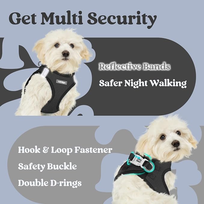 rabbitgoo Step-in Small Dog Harness, Puppy Vest for Small Medium Sized Pet | Easy Put on and off, Lightweight, Soft, Breathable Quick-Dry Air Mesh for Comfortable Secure Walking, Black L - Image 7