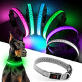 Light up Dog Collar, Multicolor LED Dog Collar Type-C Rechargeable, High Visibility Rainbow Gradient Glow & 7 Light Modes, Adjustable Waterproof Dog Safety Collar for Night Walking (Small) by Unknown