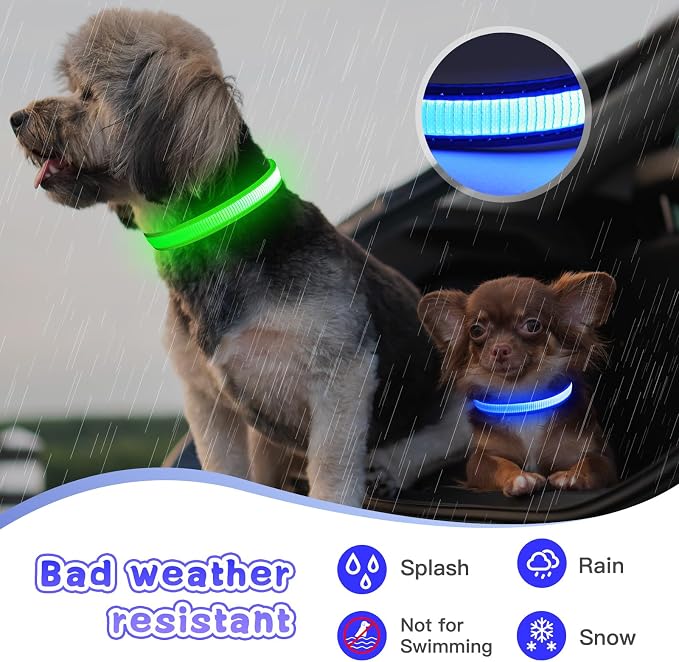 LED Light Up Dog Collar for Night Safety Walks, Blue, S | USB rechargeable, waterproof & pet-safe, 3 lighting modes, long-lasting glow, adjustable S/M/L, soft comfy daily walk fit - Image 5