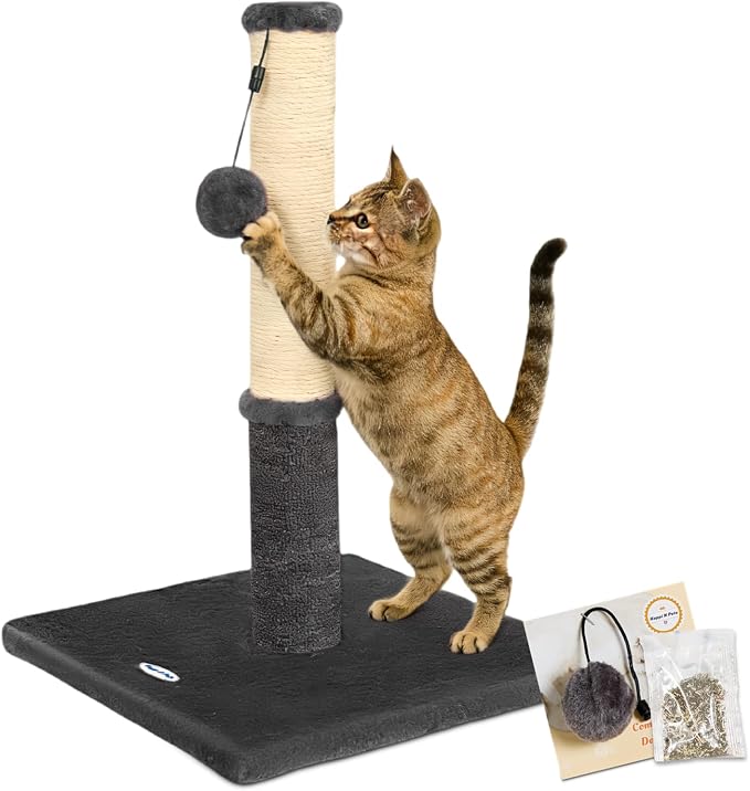 Cat Scratching Post, Cat Scratchers for Indoor Cats, with Toys | For Kitten & Medium Cats, Sisal & Carpet In One For Various Scratching Needs, Solid Structure, Extra Free Toy, Smokey Gray by HappiNPets