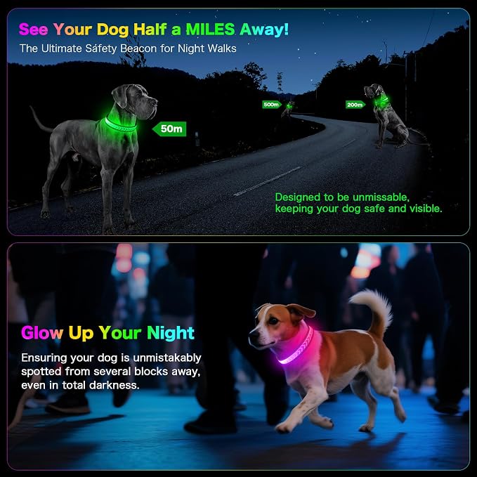 Light up Dog Collar, Multicolor LED Dog Collar Type-C Rechargeable, High Visibility Rainbow Gradient Glow & 7 Light Modes, Adjustable Waterproof Dog Safety Collar for Night Walking (Small) - Image 4