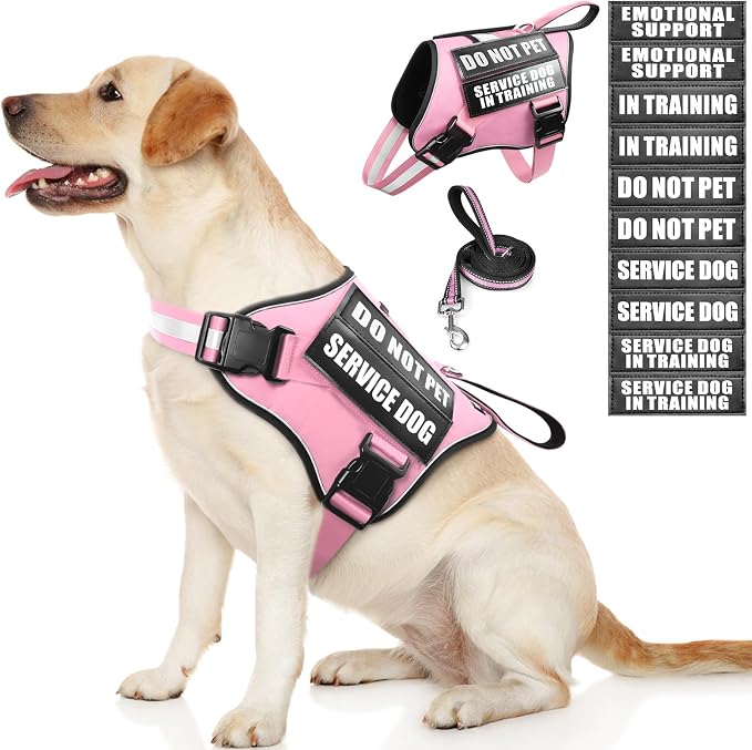 Service Dog Vest Harness and Leash Set+10 Patches,No Pull&Easy Walk Reflective Dog Harness with Soft Padded Handle for Training/Everyday,Fit Small/Medium/Large/Extra-Large Dogs (Pink L) | No Pull&Adjustable Reflective Dog Harness Large Sized,Dog Leash ... by MOOGROUPETSFRIEND