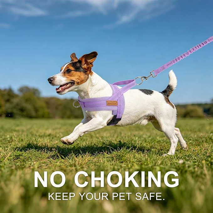 BEAUTYZOO Small Dog Harness and Leash Set, No Pull Step in Puppy Vest | Breathable Mesh with Handle, Reflective, Adjustable No Choke Escape Proof, Lightweight, Easy Control for Walking, Purple S - Image 9