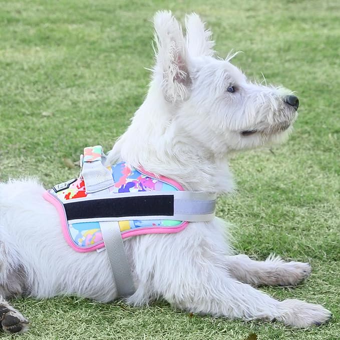 Dog Harness, No-Pull Reflective Dog Vest, Breathable Adjustable Pet Harness with Handle for Outdoor Walking - No More Pulling, Tugging or Choking (Medium (Pack of 1), OilPainting) - Image 5