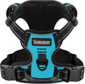 BARKBAY Dog Harness for Small Sized Dog No Pull 2 Leash Clips Dog Vest | Control Handle,Comfort,Heavy Duty,Adjustable Reflective,Perfect for Outdoor Training, Walking,Hiking(XS,Blue) by BARKBAY