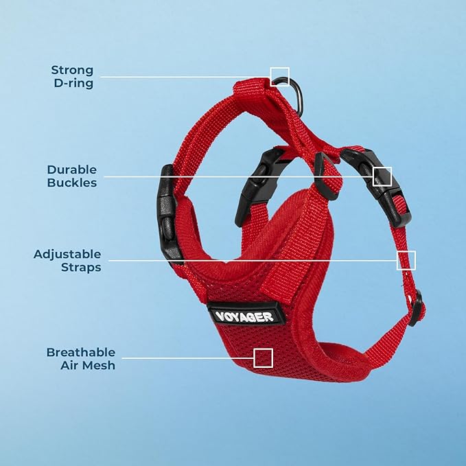Voyager Step-in Lock Dog Harness - Red, Medium | 17 - 21" in Chest, Adjustable, Breathable Air Mesh, Lightweight for Daily Walks, Strong Clips, Heavy Duty D-Ring - Image 4