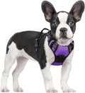 rabbitgoo Dog Harness, No Pull for Small Dogs with 2 Leash Clips, Pet Vest | No Choke with Handle, Adjustable Soft Padded, Reflective, Easy Control for Walking, Purple, Small by rabbitgoo