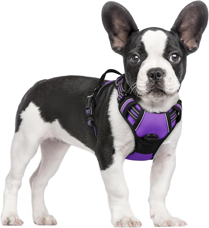 rabbitgoo Dog Harness, No Pull for Small Dogs with 2 Leash Clips, Pet Vest | No Choke with Handle, Adjustable Soft Padded, Reflective, Easy Control for Walking, Purple, Small by rabbitgoo
