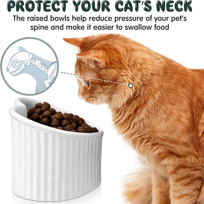 4 Pcs Elevated Cat Food Bowls, Ceramic Raised Cat Bowls, Shallow, Less Digestion Issues, Anti Vomiting, No Stress for Food and Water Indoor Kitten - Image 3
