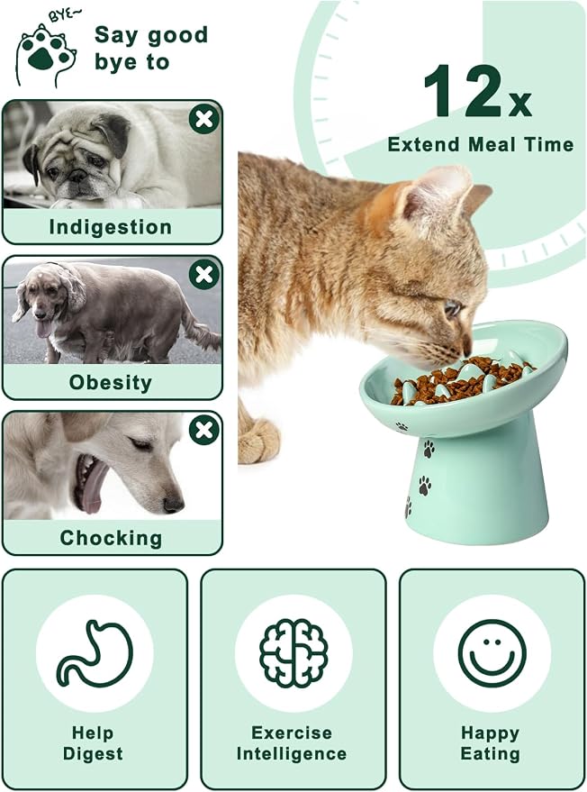 Y YHY Slow Feeder Cat Bowl, Ceramic Cat Slow Feeder Bowl, 6 Inches, Elevated, Anti Vomiting for Dry and Wet Food, Green - Image 2