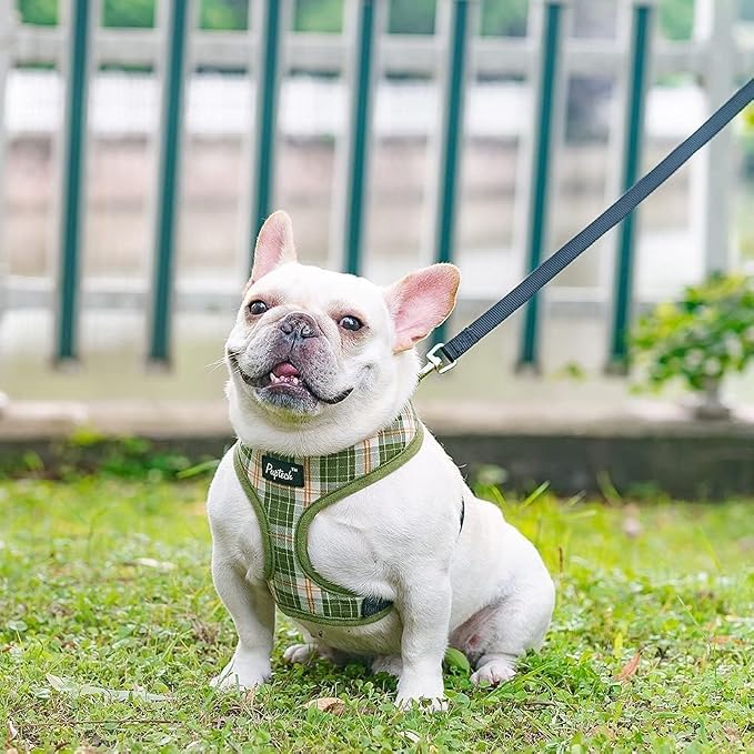 PUPTECK Small Dog Harness and Leash Set No Pull for XS XXS Sized Dogs Puppy | Escape Proof No Choke Pet Cat Adjustable Soft Padded Walking Vest - Image 7