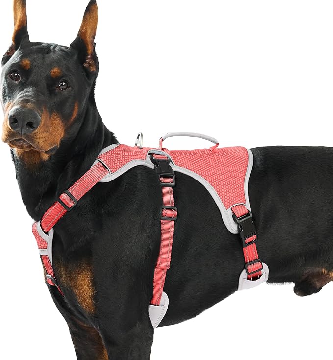 Escape Proof Dog Harness, Dachshund Harness, Reflective Dog Harness with Handle, Durable,Adjustable Vest for Small Medium Large Dogs Walking, Training, and Running Gear (Red,XL) by Huntboo