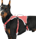 Escape Proof Dog Harness, Dachshund Harness, Reflective Dog Harness with Handle, Durable,Adjustable Vest for Small Medium Large Dogs Walking, Training, and Running Gear (Red,XL) by Huntboo