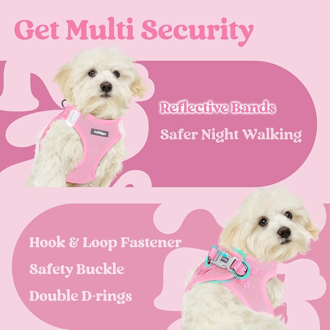 rabbitgoo Step-in Small Dog Harness, Puppy Vest for Small Sized Pet | Easy Put on and off, Lightweight, Soft, Breathable Quick-Dry Air Mesh for Comfortable Secure Walking, Light Pink XXXS - Image 7