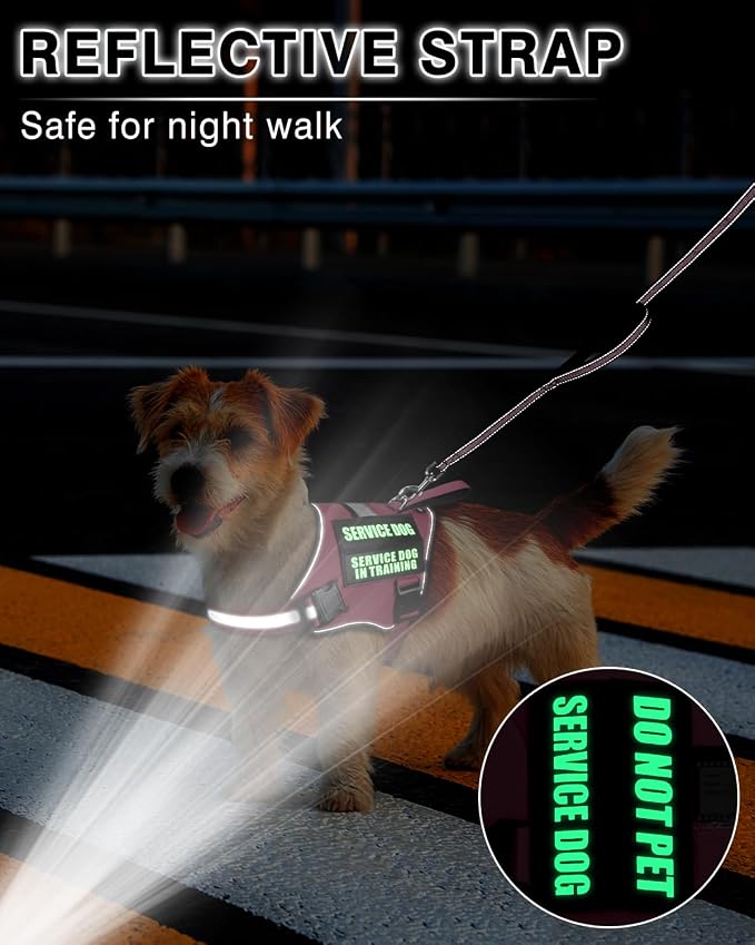 Small Service Dog Vest Harness and Leash Set+10 Patches Pink XS | Adjustable Reflective Do Not Pet Emotional Support Dog Vest with 2 Soft Padded Handle,MOLLE,for Everyday Training Hiking - Image 5