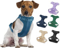 Wisedog Lightweight No Pull Dog Harness, Navy, Medium | Air Mesh, 3 Clips, Adjustable, No Choke Design, Ideal for Walking Training by WisedogPetSupplies