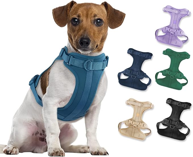 Wisedog Lightweight No Pull Dog Harness, Navy, Medium | Air Mesh, 3 Clips, Adjustable, No Choke Design, Ideal for Walking Training by WisedogPetSupplies