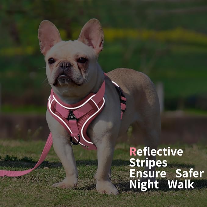 Dog Harness Small Sized Dog Pet Vest with Leash Set Pink S | Adjustable Puppy Vest Harness, No Choke No Pull, Soft Padded, Step-in Dog Vest, Reflective Cat Harness, Breathable Air Mesh - Image 5