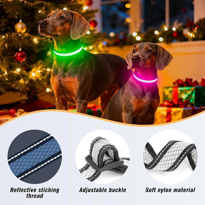 Multicolor Light Up Dog Collar, 5V Waterproof Led Dog Collar Rechargeable, 200 mAh Adjustable Glow in the Dark Dog Collars with 11 Light Modes for Small, Medium, Large Dogs Walk at Night (Large) - Image 2