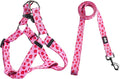 Dog Harness Leash Set Adjustable Heavy Duty No Pull Halter Harnesses for Small Medium Large Breed Dogs Back Clip Anti-Twist Perfect for Walking by QQPETS
