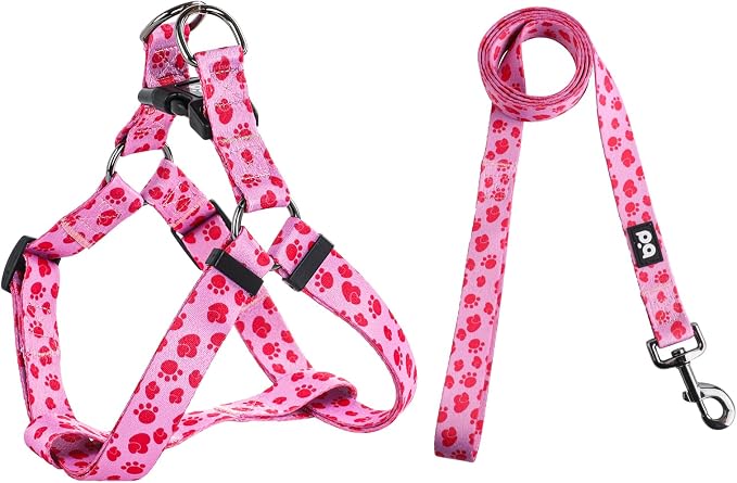 Dog Harness Leash Set Adjustable Heavy Duty No Pull Halter Harnesses for Small Medium Large Breed Dogs Back Clip Anti-Twist Perfect for Walking by QQPETS