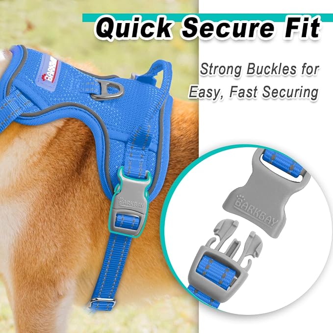 BARKBAY Dog Harness for Small Sized Dog No Pull Mesh 2 Clips Dog Vest | Control Handle,Comfort,Heavy Duty,Adjustable Reflective,Perfect for Outdoor Training, Walking,Hiking(XS,Blue Mesh) - Image 7