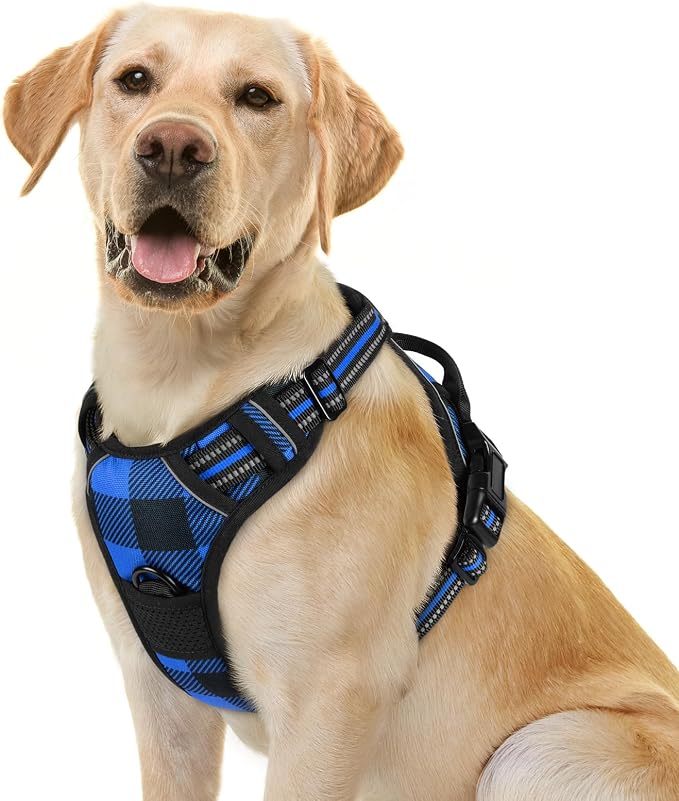 rabbitgoo Dog Harness, No Pull for Large Dogs with 2 Leash Clips, Pet Vest | No Choke with Handle, Adjustable Soft Padded, Reflective, Easy Control for Walking, Blue Plaid, Small by rabbitgoo
