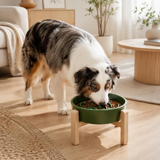 Elevated Ceramic Slow Feeder Dog Bowls Anti-Choking Slow Feeding for Medium& Large Anti-Slip Non-Lead & Toxic Durable Easy to Clean Maze Slow Feeder Bowl（8.66in Olive Green Flower Pattern） - Image 6