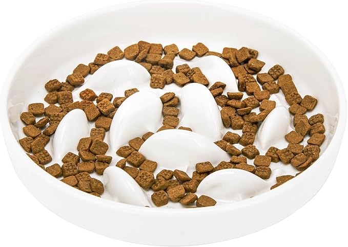 Ceramic Slow Feeder Cat Bowl 6.3" Wide (White) | Anti-Gulping & Keep Fit, Dishwasher Safe, For Dry and Wet Food, For Cats and Small Dogs, Shallow Bottom Puzzle Feeder by GUWINA