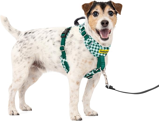 PetSafe Easy Walk Comfort No Pull Dog Harness, Green Gringham, Small | Stops Pulling on First Use with Front Martingale Loop, Padded Comfort, 5-Point Adjustable Fit by PetSafe