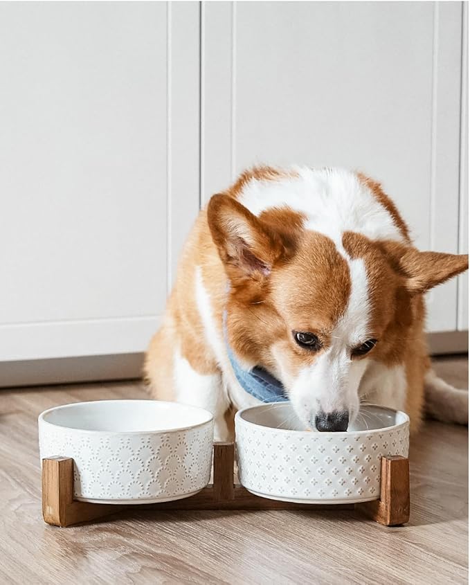 LE TAUCI Dog Bowls Ceramic for Small Medium Dogs - 4-Cup Dual Food & Water Bowl Set with Acacia Wood Stand, Non-Slip Anti-Tip Elevated Design - Image 7