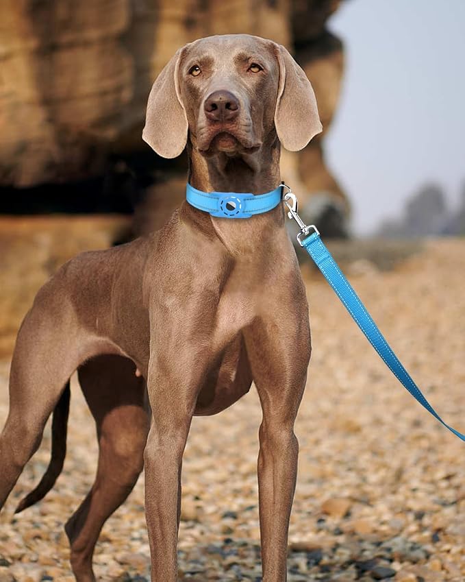 6FT Reflective Dog Leash, Padded Handle for Small Medium Dogs | Comfortable Nylon, Soft Handle Cushioning, Reflective Safety at Night, Walking Leash for Park & Hiking (3/4in, Aqua Blue) - Image 2